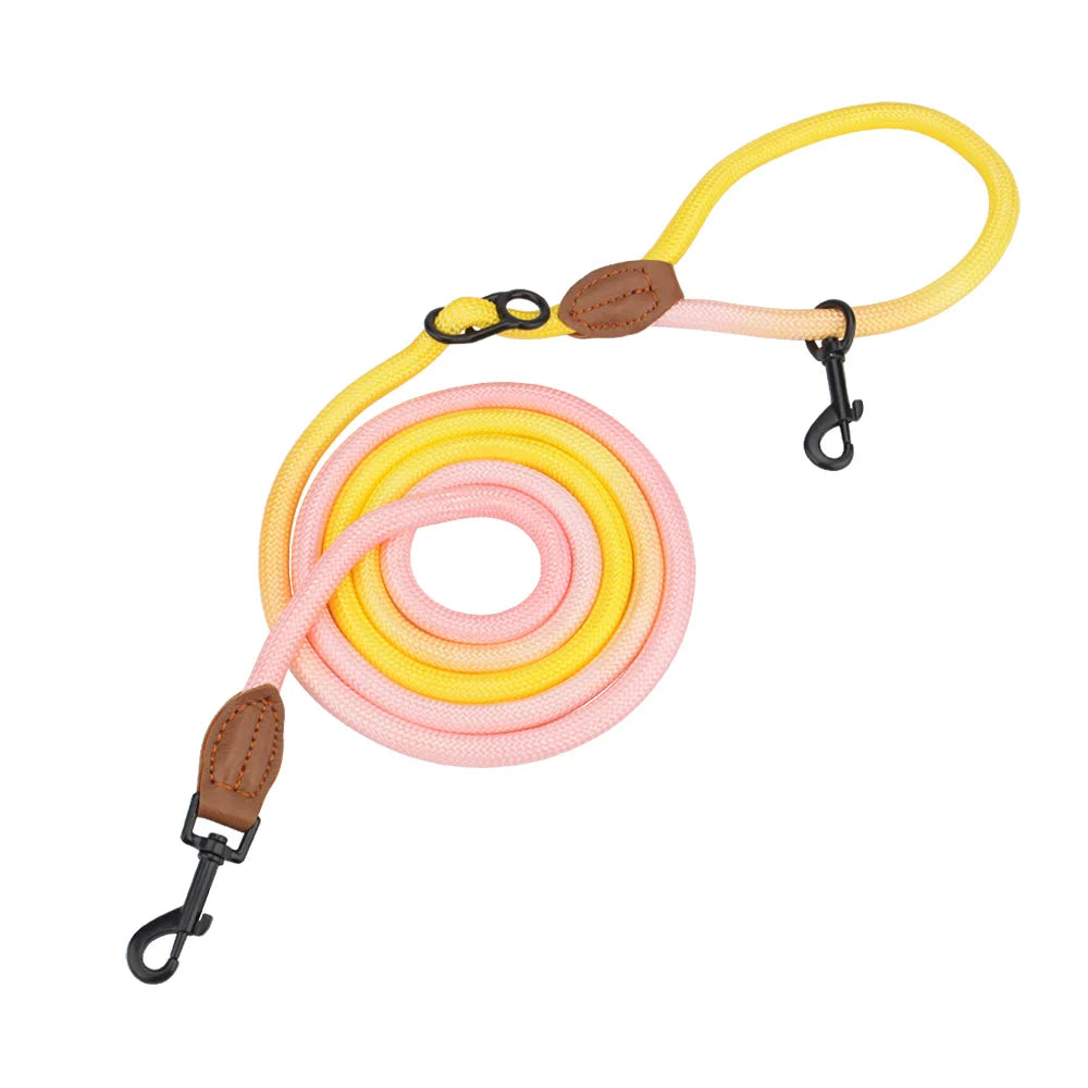 Laisse en bandoulière pour chien