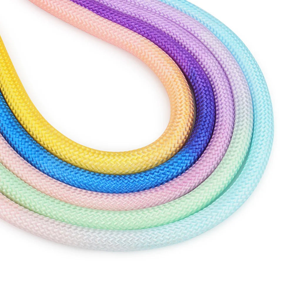 Laisse en bandoulière pour chien