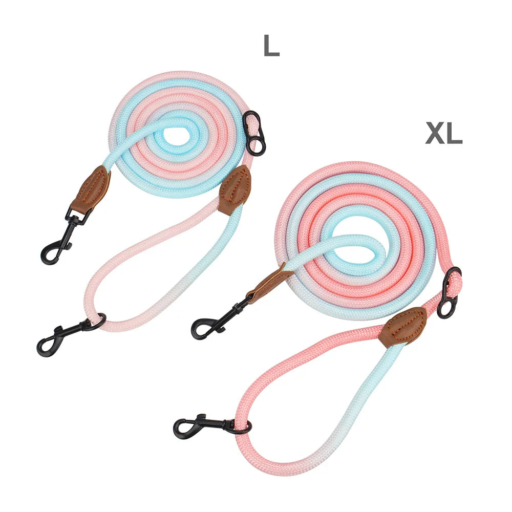 Laisse en bandoulière pour chien